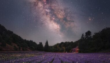 June’s Magical Trio: Venus, Jupiter, and Mercury
