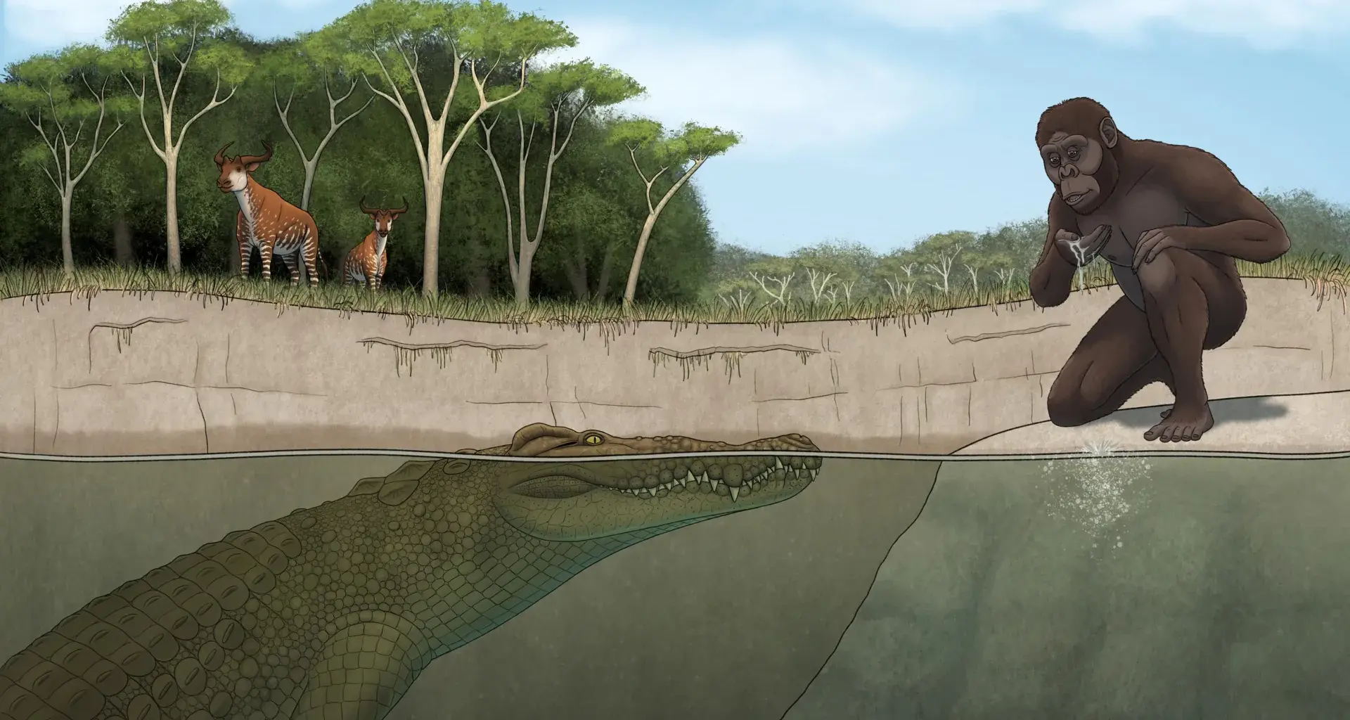 Lucy’s hunter revealed: Giant crocodile terrorized early human ancestors