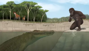 Lucy’s hunter revealed: Giant crocodile terrorized early human ancestors