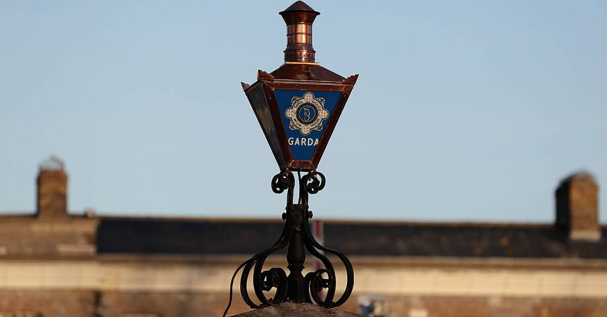 Man (20s) dies in Kerry crash