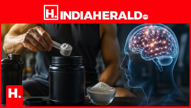 Millions Take Creatine for Muscles—Researchers Just Discove