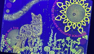 New UV artwork in Irish passport with increased security