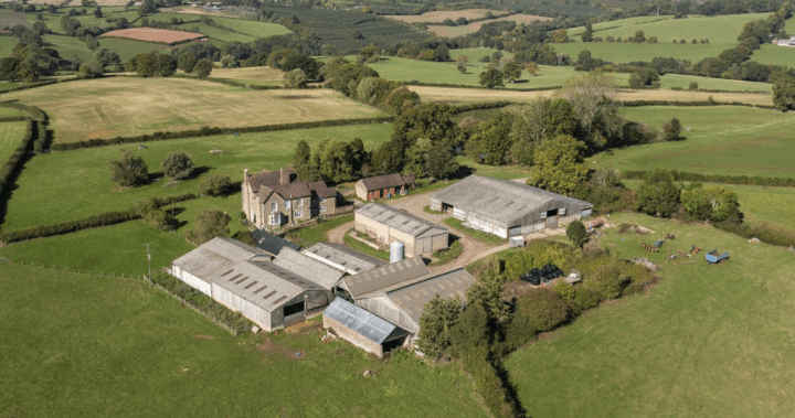 Prince William puts royal 600-acre English farm up for sale - National