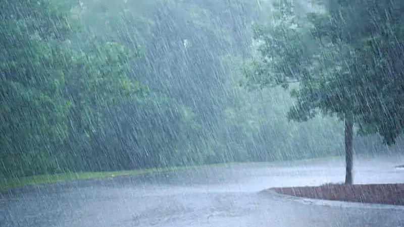 Scattered showers today but some may be thundery