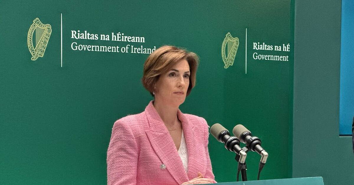 Schools will lose no more than one SNA a year from 2027 – minister