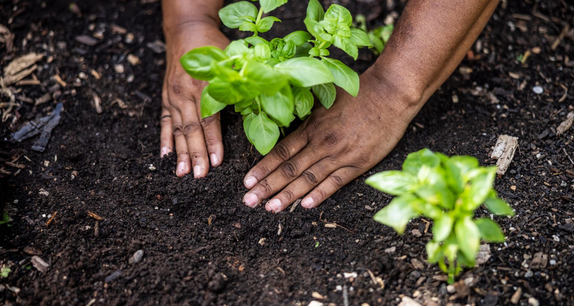 Does The Future of Climate Resilience Lie Beneath Our Feet?