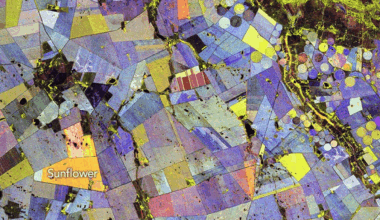 NASA’s Psychedelic Crop Map Shows Plants Have a Hidden Signature — and Radar Can Read It
