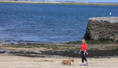 Temperatures set to rise to 30 degrees this week