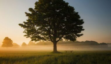 The Summer Experiment: A Season Without Scrolling