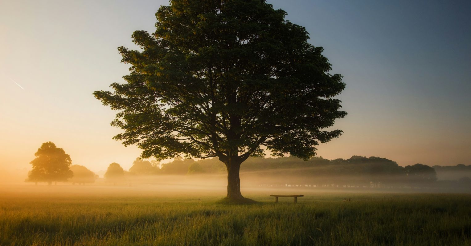 The Summer Experiment: A Season Without Scrolling