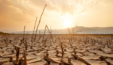 Writing a single 100-word email with ChatGPT consumes approximately the volume of a standard bottle of water, the global infrastructure processing AI queries is projected to use the equivalent of half the United Kingdom's annual water withdrawal by 2027, and much of that water is being drawn from regions already experiencing severe drought.