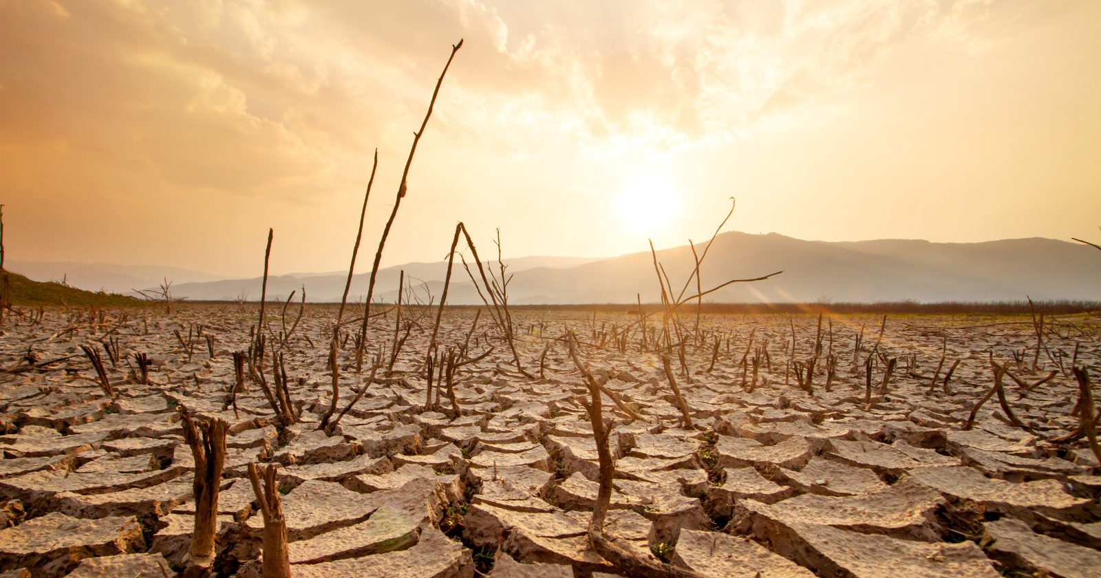 Writing a single 100-word email with ChatGPT consumes approximately the volume of a standard bottle of water, the global infrastructure processing AI queries is projected to use the equivalent of half the United Kingdom's annual water withdrawal by 2027, and much of that water is being drawn from regions already experiencing severe drought.