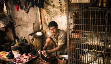 Mayo photographer triumphs at World Food Photography Awards