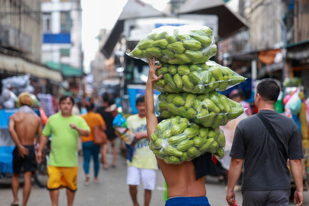 Analysts say lower Philippine growth goals more realistic