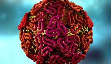 West Nile virus is caused by a flavivirus carried by migratory birds, which in turn infect mosquitoes. Photo: iStock/decade3d