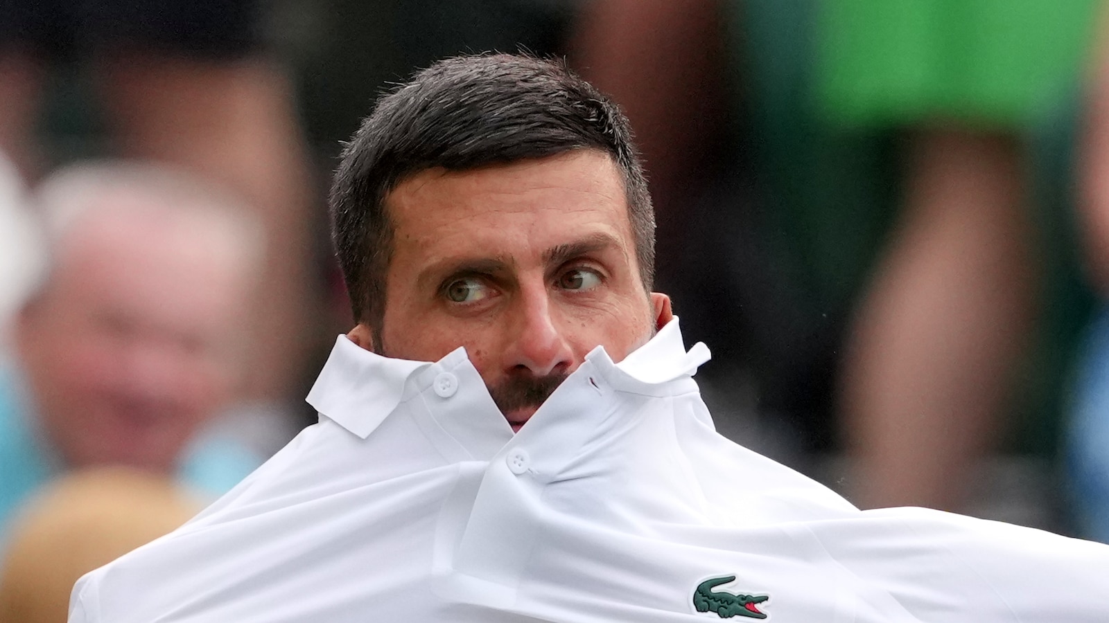 Marriage proposal, Bad Bunny steal attention from Djokovic's opening Wimbledon match