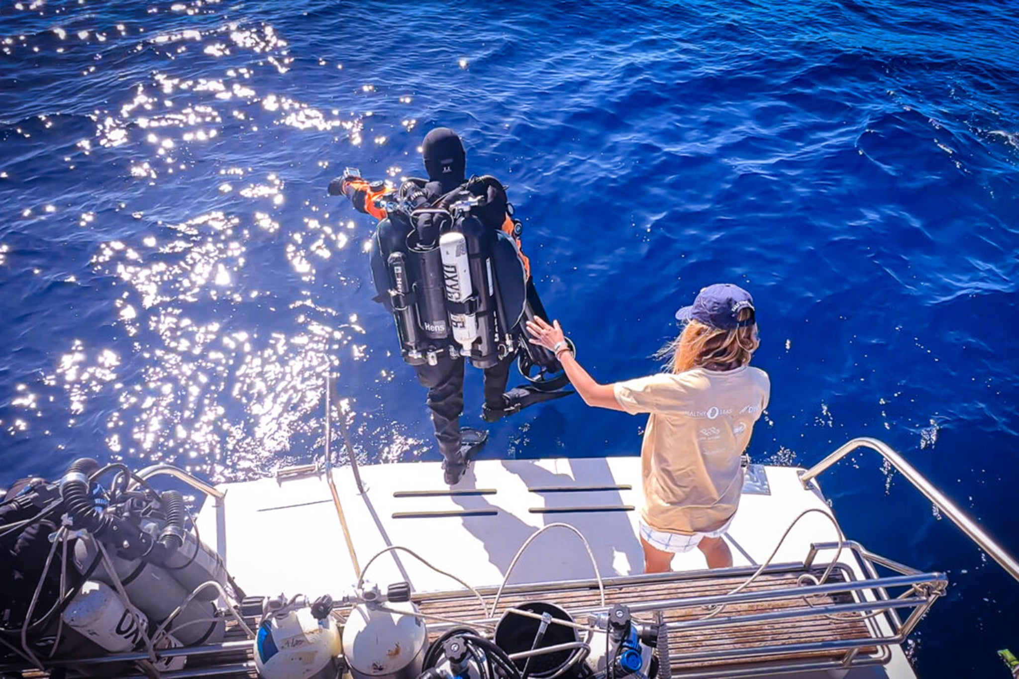 Divers couldn’t believe it when they had the close encounter underwater
