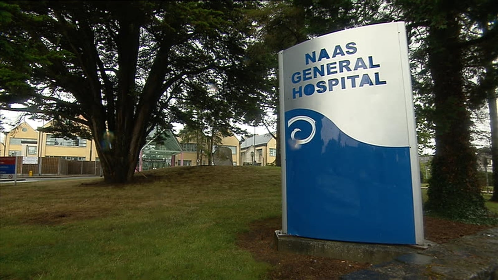 Motorcyclist dies after single-vehicle crash in Kildare