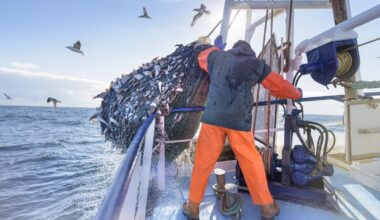 Fishing groups say industry won't survive without support