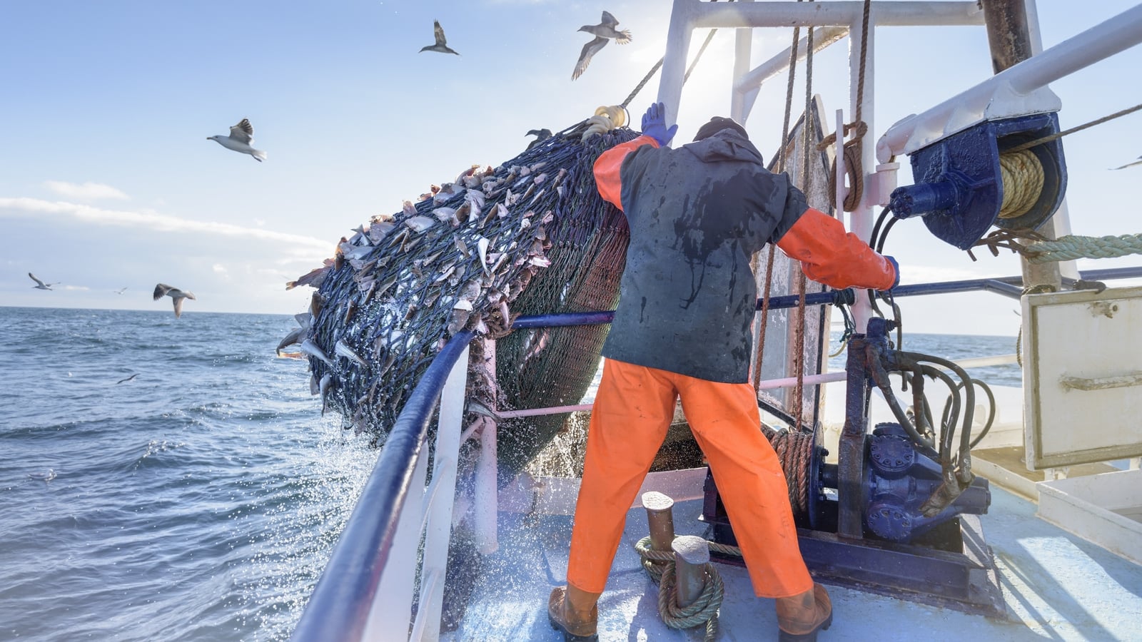 Fishing groups say industry won't survive without support
