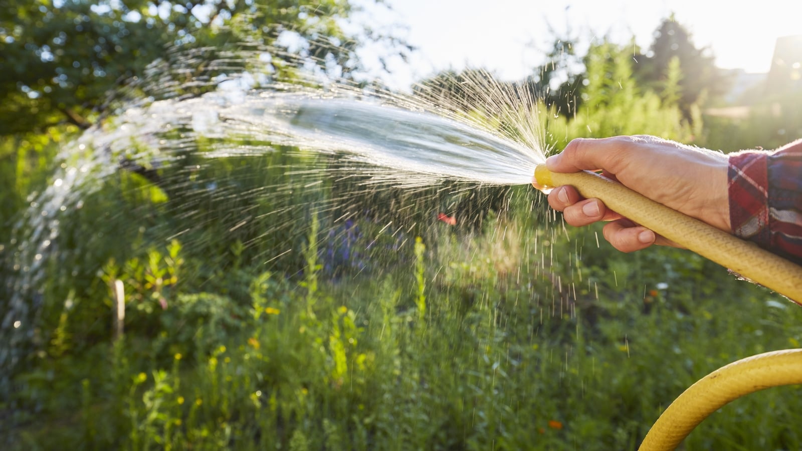 Will a hosepipe ban really change your behaviour around water?