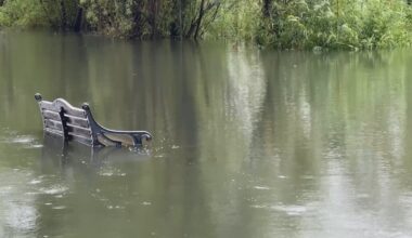 Failure to take climate action could cost €13bn