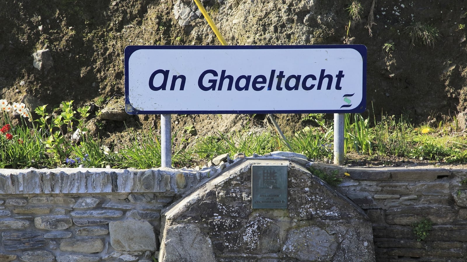 What exactly is proposed in rural planning guidelines?