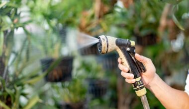 Public urged to conserve water as hosepipe ban in effect