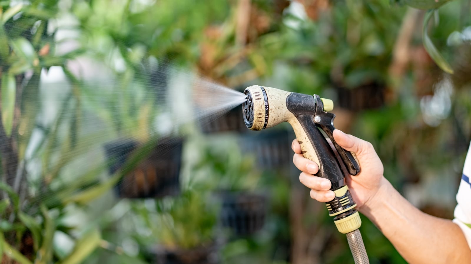 Public urged to conserve water as hosepipe ban in effect