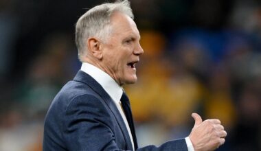 Schmidt back in Irish rugby with Ulster development role