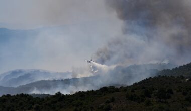 Infernos devastate forests as Europe's temperatures rise
