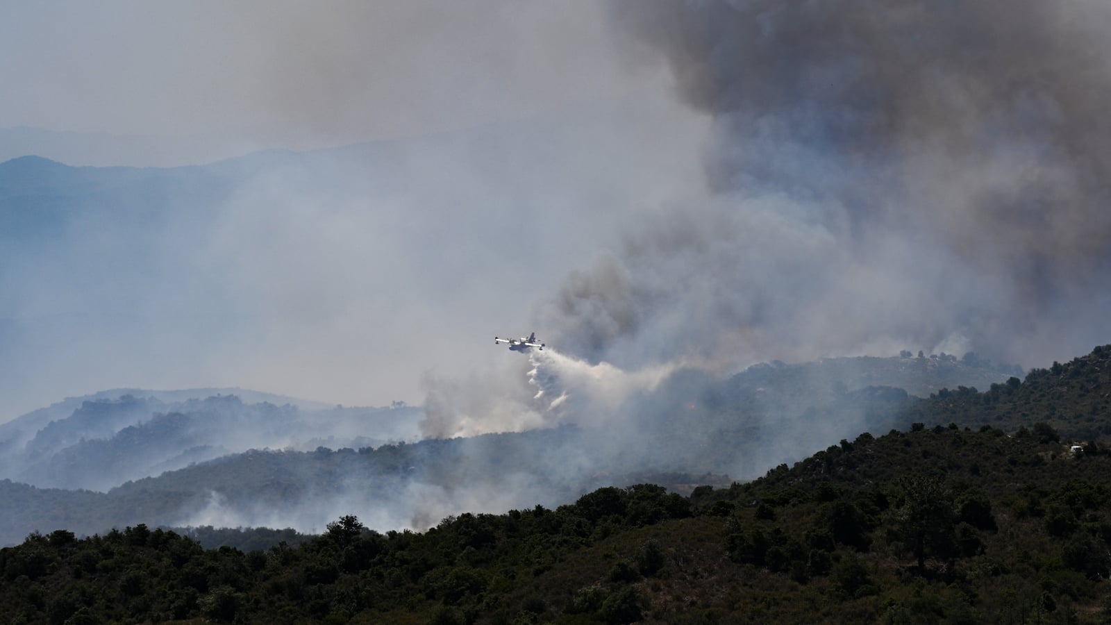 Infernos devastate forests as Europe's temperatures rise