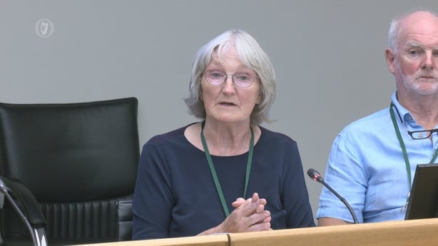 Shane O'Farrell's mother, Lucia, speaking to the Justice Committee