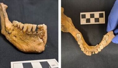 Leitrim human remains date to at least 5,300 years ago
