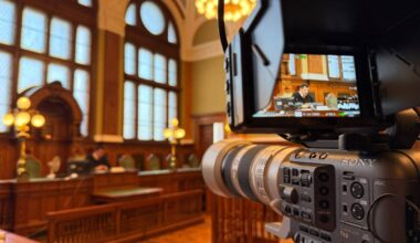 Irish man jailed over US tourist's murder in Budapest