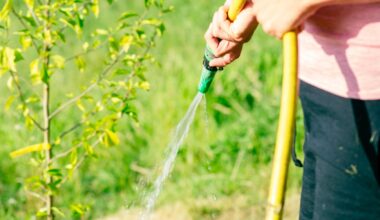 Appeal to conserve water as heatwave continues