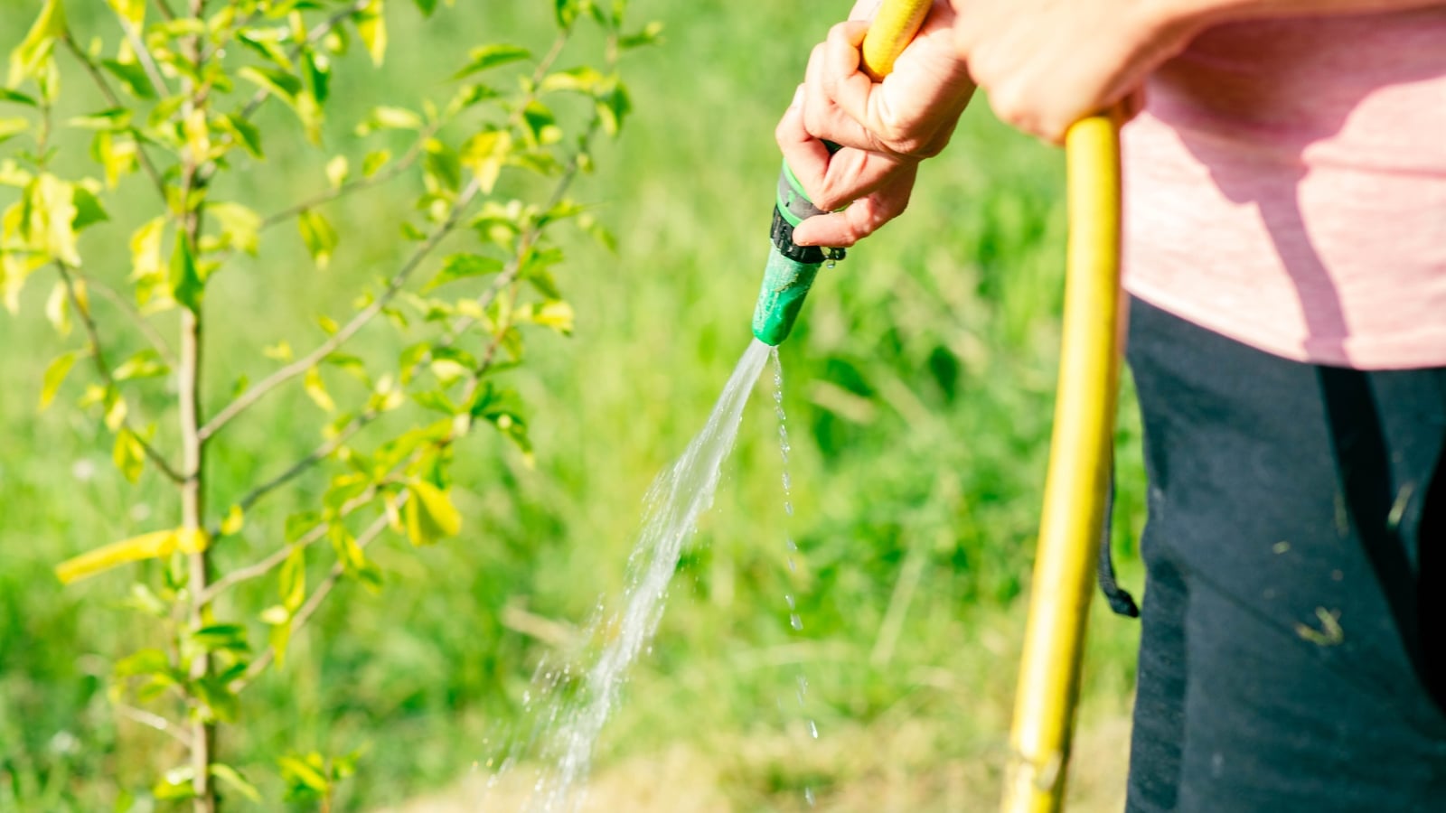 Appeal to conserve water as heatwave continues