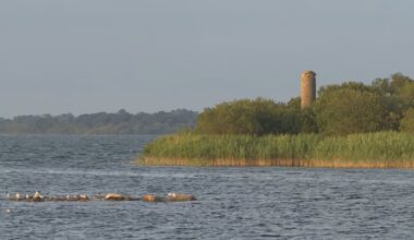 Boy, 15, dies after getting into difficulty in Lough Ree