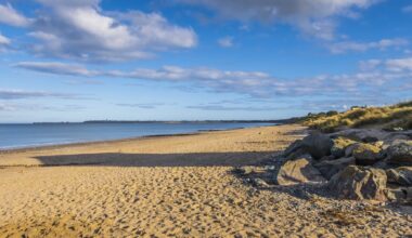 Six people taken to hospital after Wexford water rescue