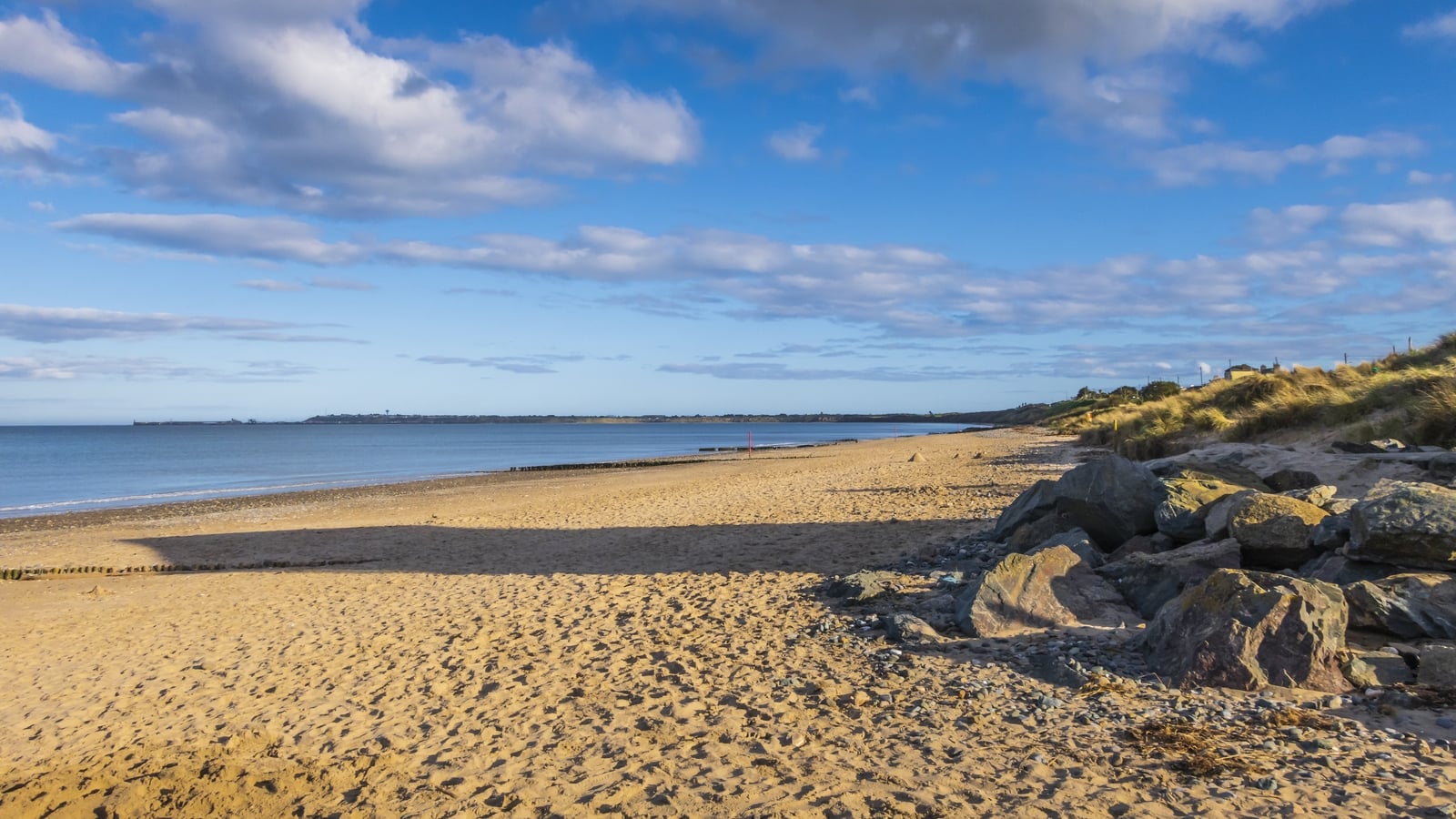 Six people taken to hospital after Wexford water rescue