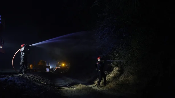 Firefighters try to put out a forest fire in the forest of Fontainebleau