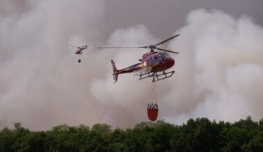 Fires advance in forest south of Paris as two arrested