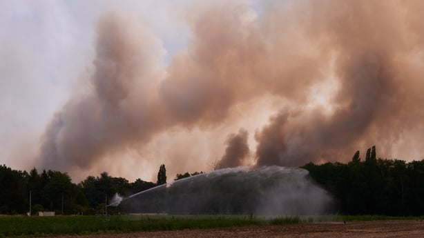 A large column of smoke rises above the trees as a local farmer waters crops after a wildfire broke out in the Fontainebleau Forest