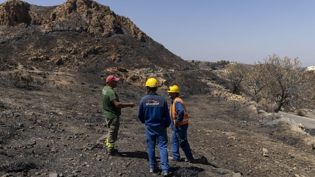 Workers stand on the burnt landscape of a wildfire in southern spain