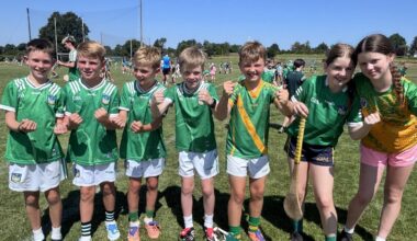Limerick excitement builds ahead of All-Ireland final