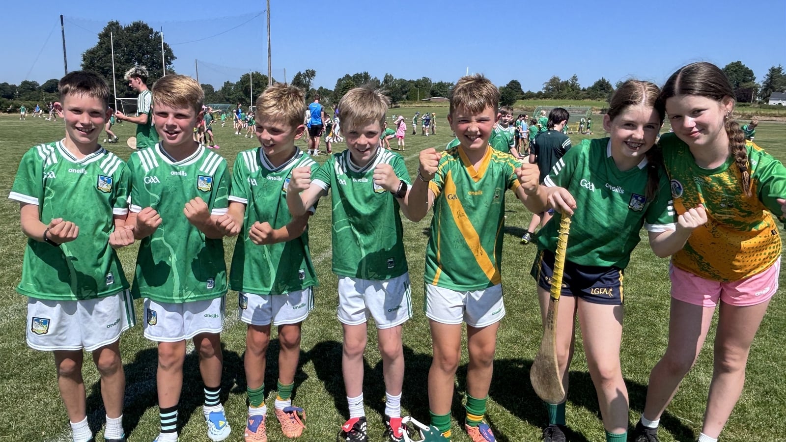 Limerick excitement builds ahead of All-Ireland final