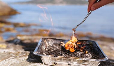 Call for ban on disposable barbecues amid hot weather