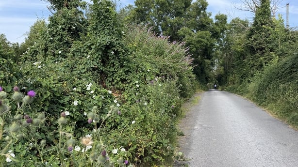 Scribblestown Lane in finglas is set to be developed