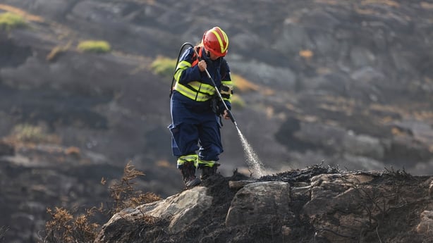 Day 4 WildfireKillarney National ParkÉamonn Meskell, Divisional Manager NPWS working tirelessly This morning at the 5 Mile Bridge, the site of Tuesday evenings devastating wildlife, it continues to be actively monitored by staff and fire crew of the National Parks and Wildlife Service (NPWS) with fu
