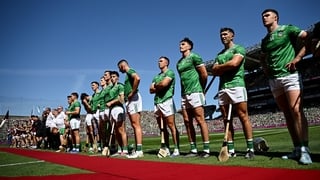 Limerick players